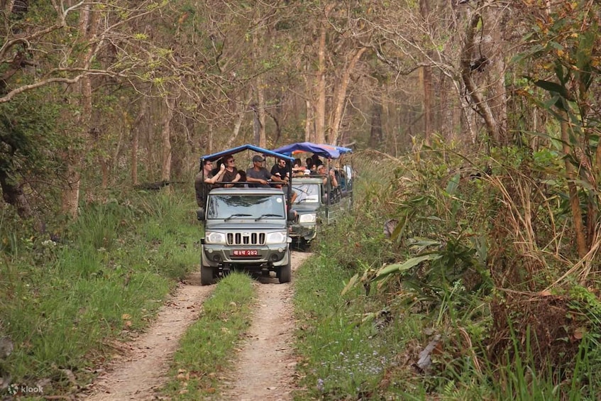 Chitwan: 1-Night Jungle Safari with Transfers from Kathmandu 1