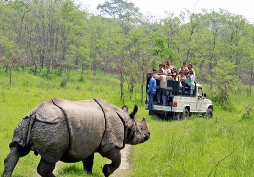 Picture 3 for Activity Chitwan: 1-Night Jungle Safari with Transfers from Kathmandu 2