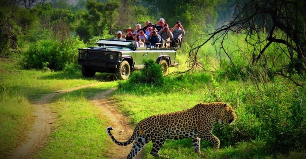 Picture 5 for Activity Chitwan: 1-Night Jungle Safari with Transfers from Kathmandu 5