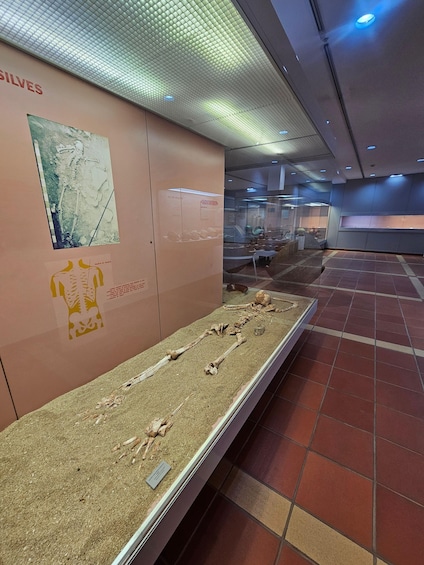 A museum exhibit with a skeleton on display. 5