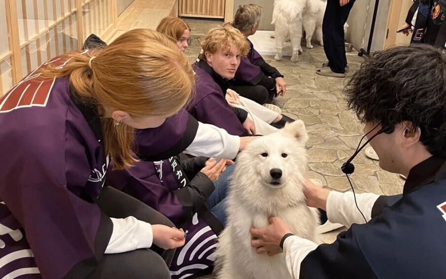 People interacting with a large white dog in an indoor setting. 2