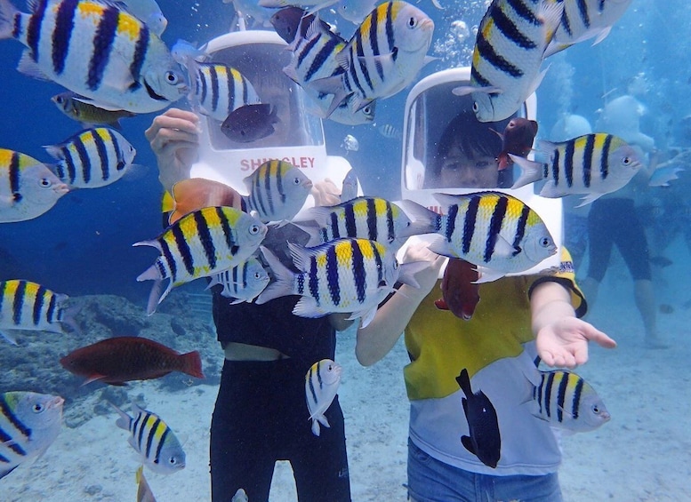 Boracay: Aquanaut Adventure with Photos and Videos 1