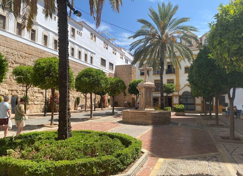 A courtyard with palm trees, a fountain, and historic buildings. 1