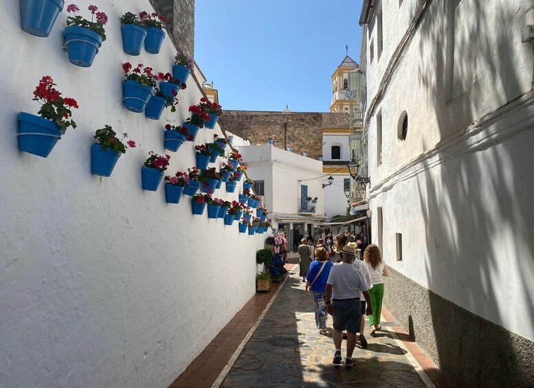 A narrow street with white buildings, blue flower pots, and people walking. 5