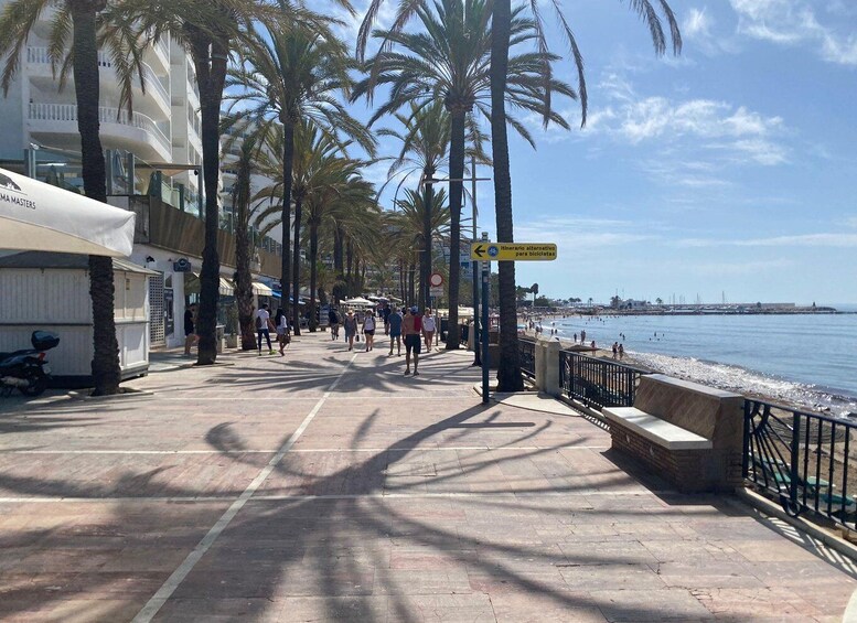 A sunny promenade with palm trees, a beach, and a sign indicating a bicycle route. 2