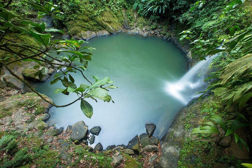 Picture 6 for Activity Tarapoto: Carpishuyacu & San Jose Thermal Baths 5