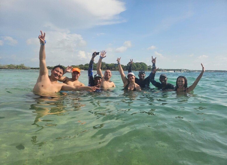 A group of people swimming in clear turquoise water with a distant shoreline and trees. 5