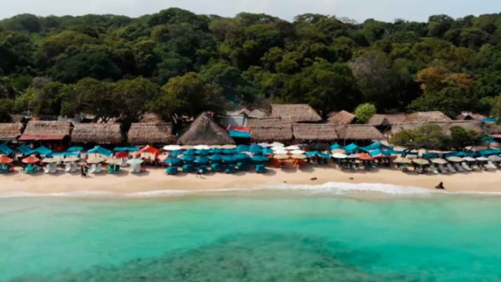 A beach with thatched-roof huts and umbrellas. 3