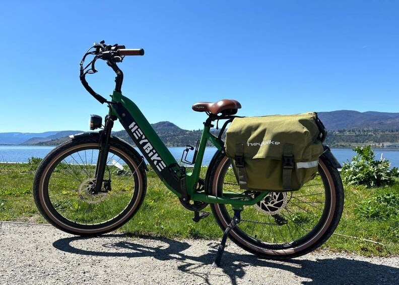 A green bicycle with a brown seat and a green bag attached to the rear, parked on a gravel path with a scenic view of a lake and mountains in the background. 1