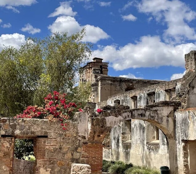 An ancient stone structure with arches, surrounded by trees and flowering plants. 2