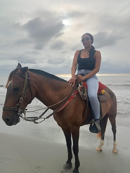 A person riding a horse on a beach with the ocean in the background. 3