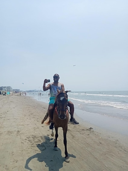 A person riding a horse on a beach with waves and buildings in the background. 5