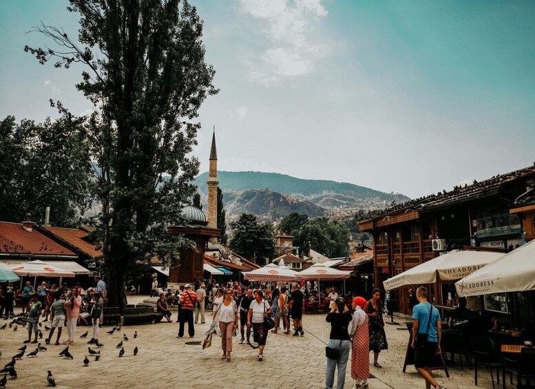 A bustling outdoor market with people walking and pigeons on the ground, surrounded by trees and buildings with traditional architecture. 1