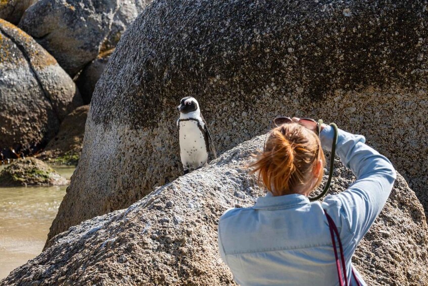 A person taking a photo of a penguin on a rocky shore. 4