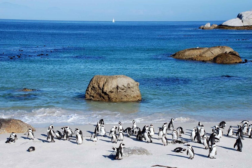 A beach with penguins and large rocks in the water. 2