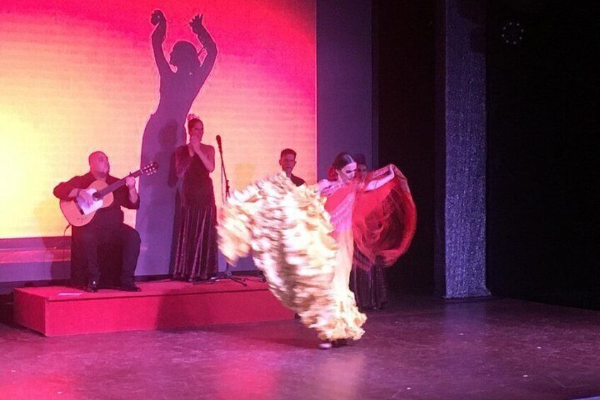 Flamenco Show at the Coliseo theater in San Miguel 2
