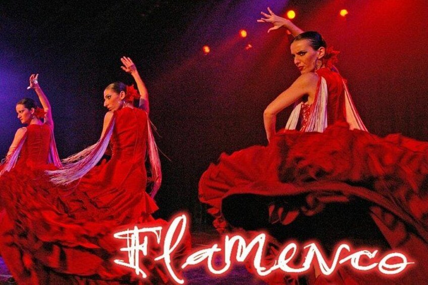 Flamenco Show at the Coliseo theater in San Miguel 2
