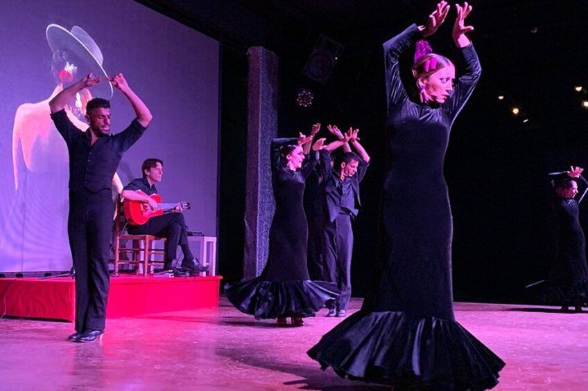 Flamenco Show at the Coliseo theater in San Miguel 1