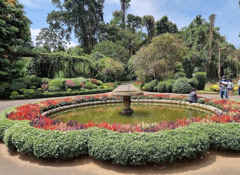 A circular garden with a central fountain, surrounded by colorful flower beds and dense greenery. 5