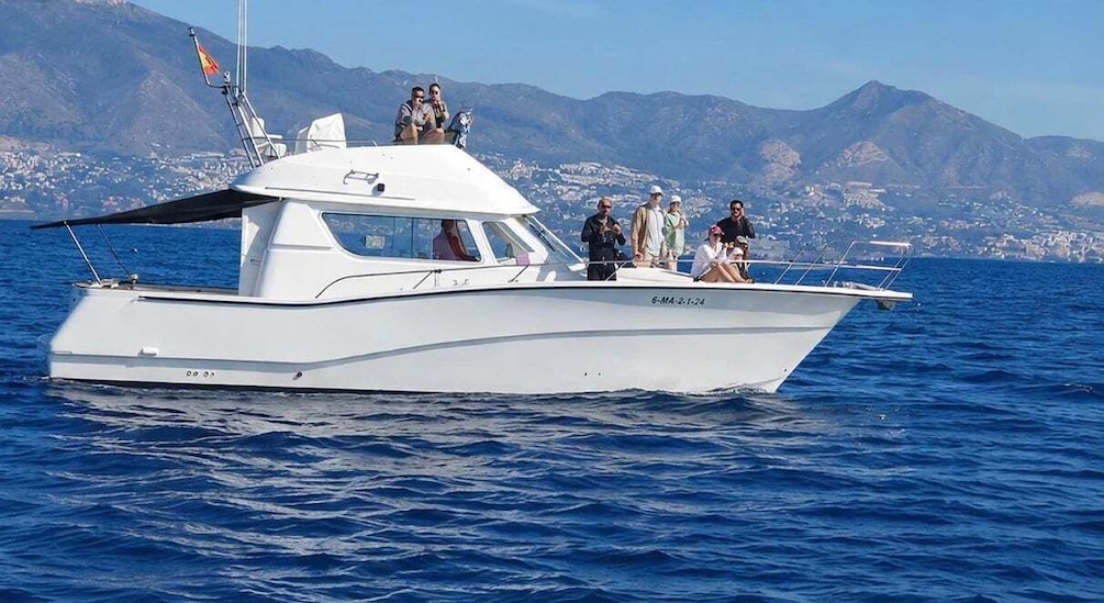 Picture 19 for Activity Fuengirola: Dolphin Watching Trip with Drinks & Snacks 5