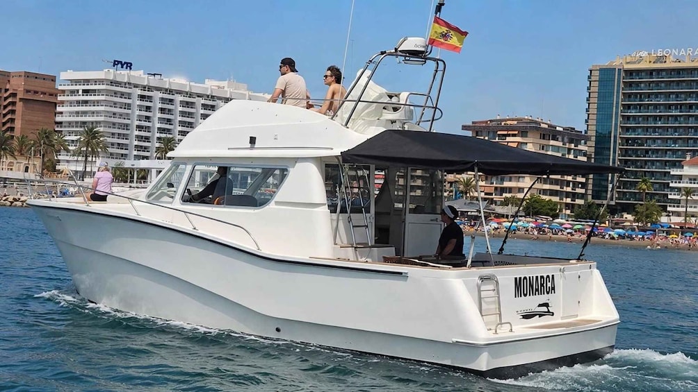 Picture 20 for Activity Fuengirola: Dolphin Watching Trip with Drinks & Snacks 3