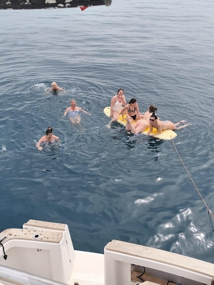Picture 23 for Activity Fuengirola: Dolphin Watching Trip with Drinks & Snacks 5