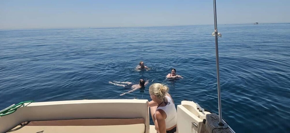 Picture 1 for Activity Fuengirola: Dolphin Watching Tour with Snacks and Drinks 2