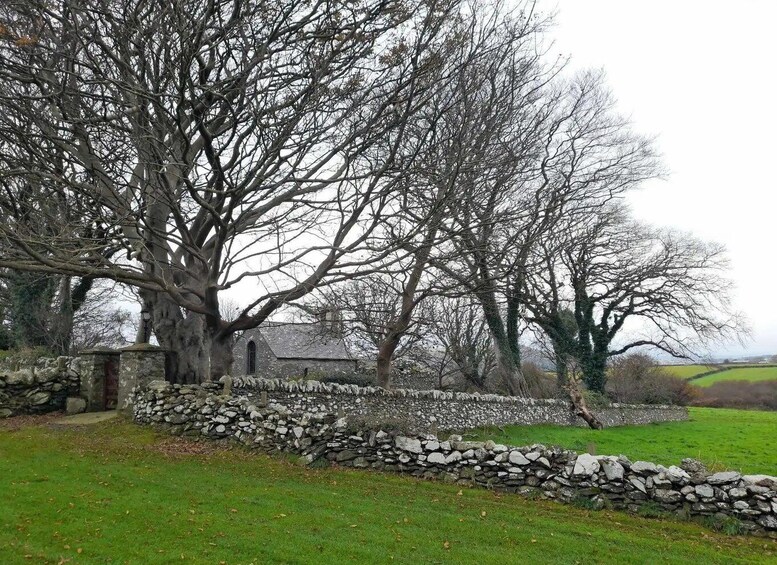 A stone wall, a large leafless tree, and a grassy field. 4