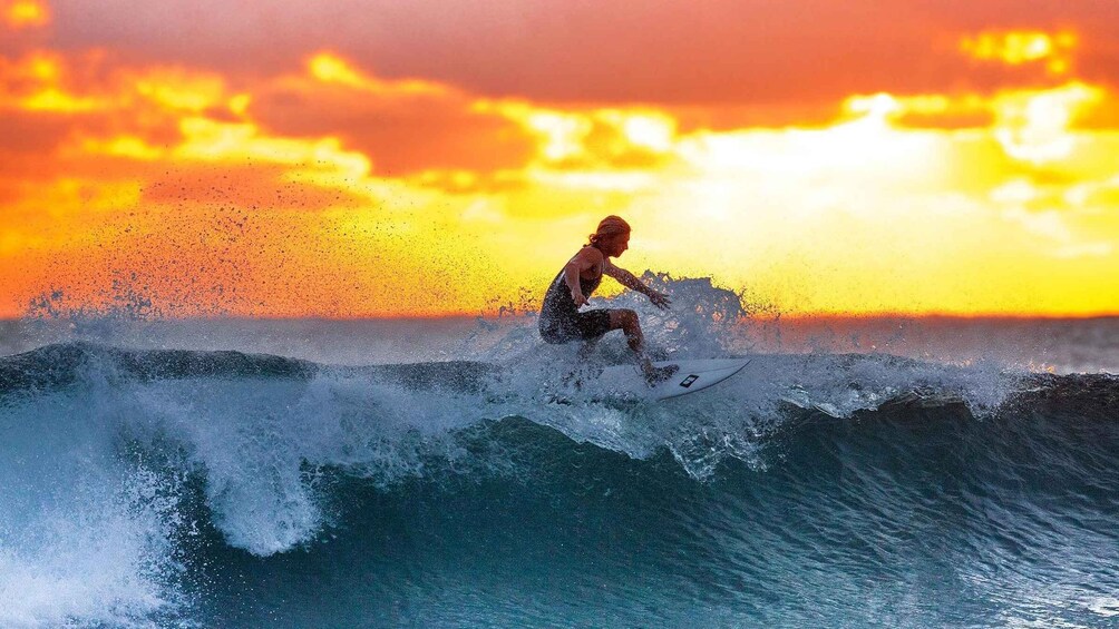 A surfer riding a wave at sunset. 1