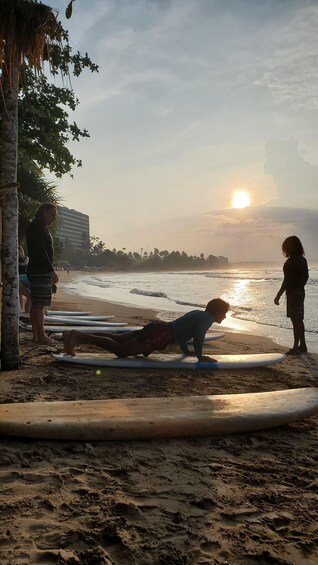 A beach with people, surfboards, and palm trees. 5