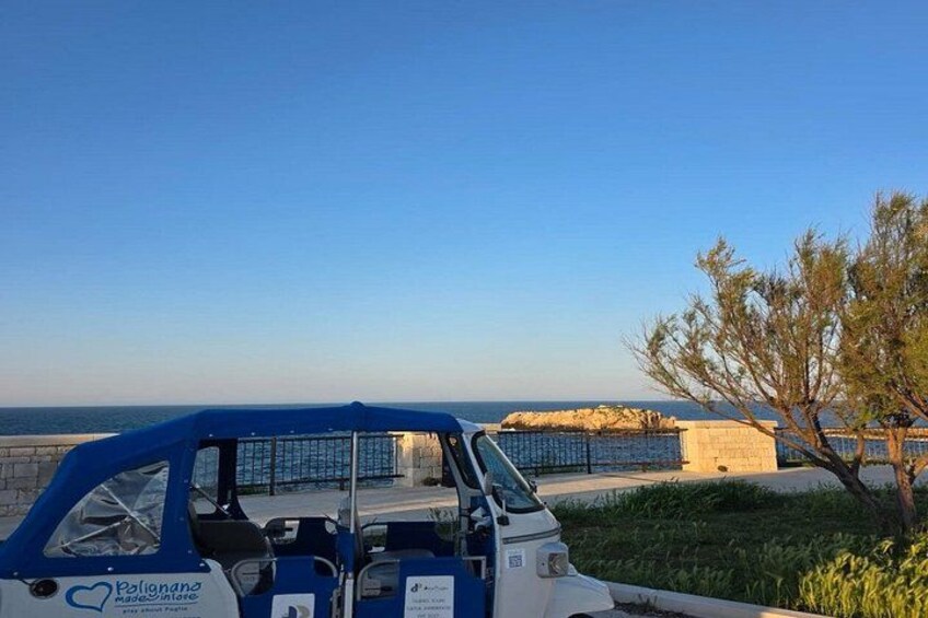 A blue and white vehicle parked near a coastal area with a clear sky and a tree in the foreground. 2