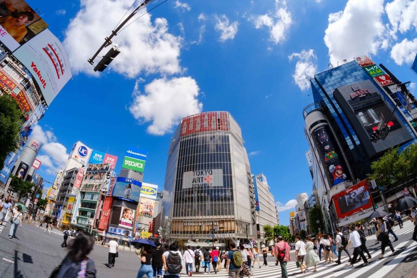 Tokyo: Shinjuku & Shibuya Walking Tour – City Highlights 1