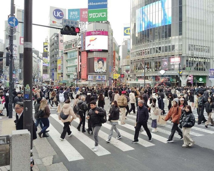 Picture 6 for Activity Tokyo: Shinjuku & Shibuya Walking Tour – City Highlights 4