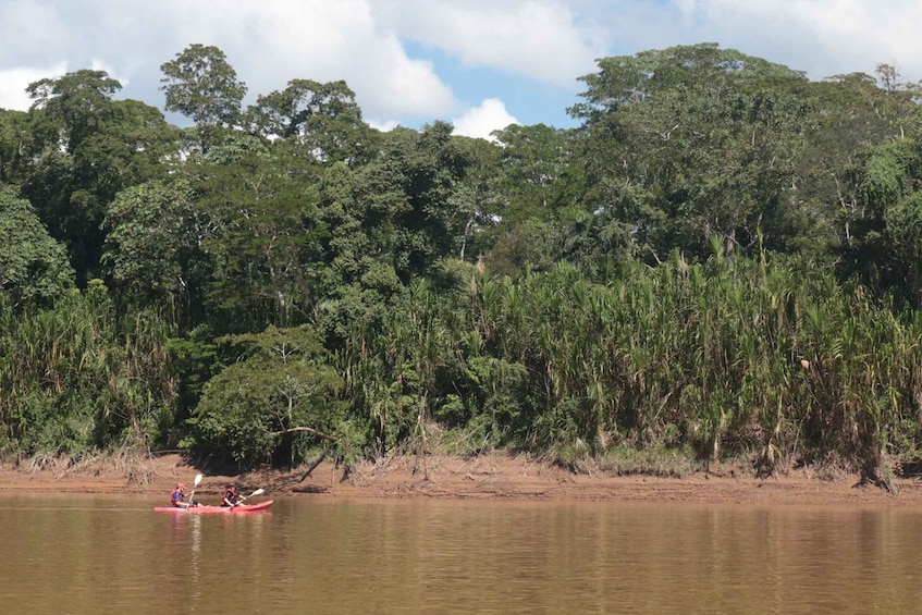 A river with kayakers in a red kayak. 5