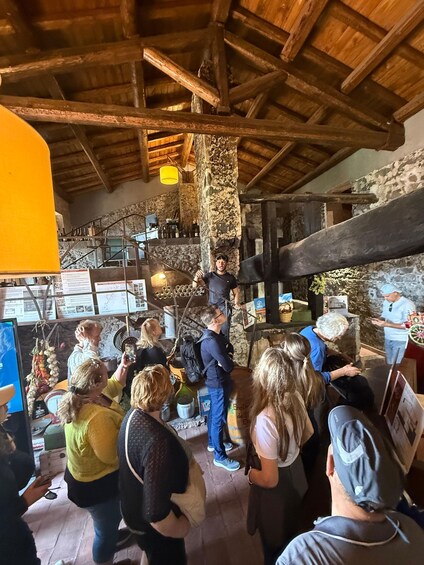 Picture 37 for Activity From Catania: Etna Small-Group Tour and Sicilian Tasting 5