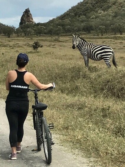A person on a bicycle with a zebra in the background. 2