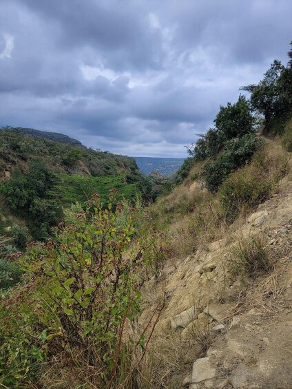 A hiking trail with a view of a valley and distant mountains under a cloudy sky. 4