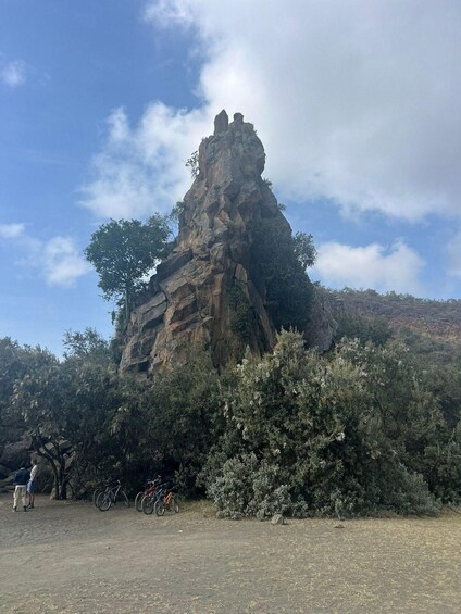 A rocky mountain peak with trees around it. 3