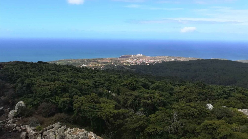 A coastal landscape with dense forest, rocky outcrops, and a white building on a hill. 4