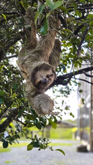 Picture 16 for Activity Beach Daypass in Private Key, Animal Park, Culture & History 4