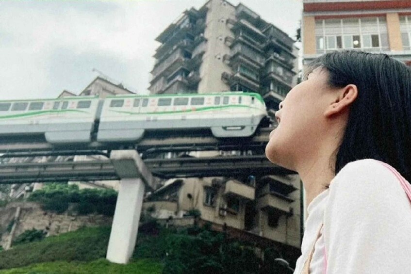 Un treno su un viadotto, con una persona che lo guarda in alto. 5