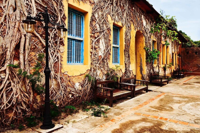 A building with yellow walls and blue shutters, covered in vines, with a street lamp and benches. 2