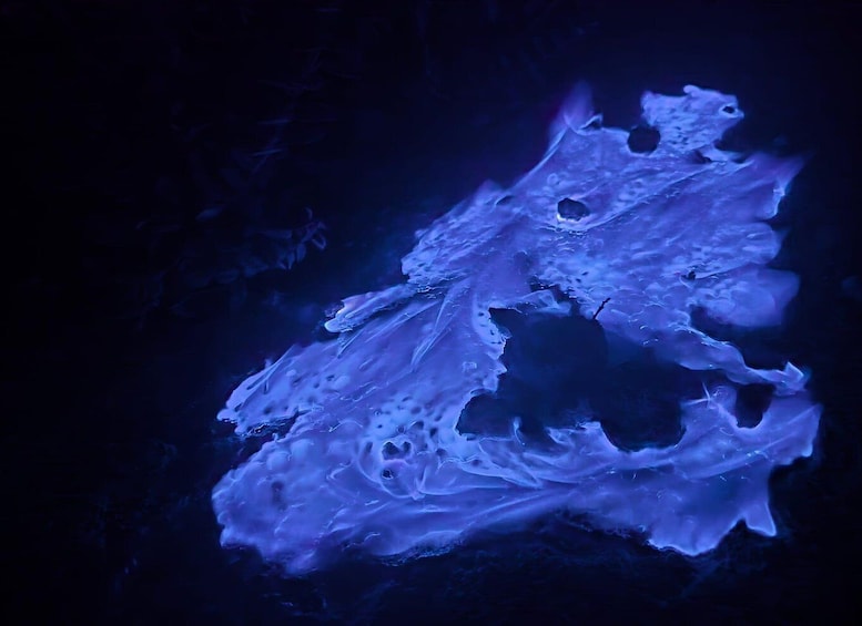 A blue-lit, abstract sculpture with irregular shapes and holes. 4
