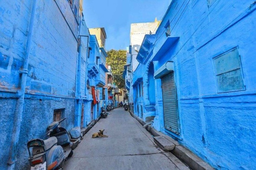 Picture 3 for Activity From Delhi: Jodhpur Same-Day Tour by Flight 4