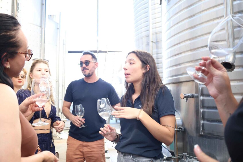 People holding wine glasses in a vineyard. 5