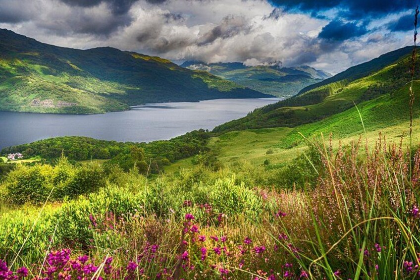 Un lago circondato da dolci colline verdi e fiori viola. 2