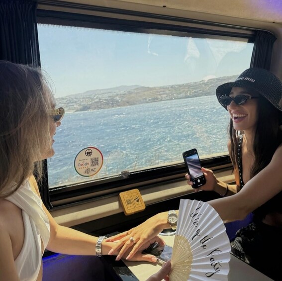 4 hours Private Mykonos Island tour by Luxury Minibus 1