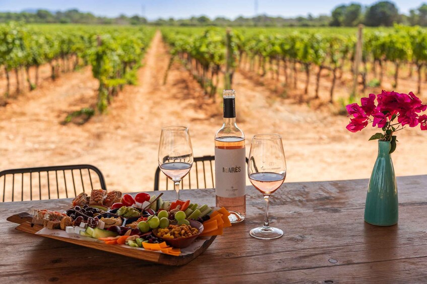 VISIT TO BODEGAS BORDOY, TASTING OF 5 WINES, FINGER FOOD 1