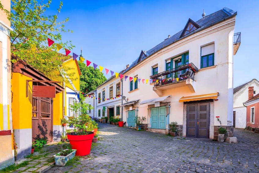 A cobblestone street lined with colorful buildings, potted plants, and a clear blue sky. 4