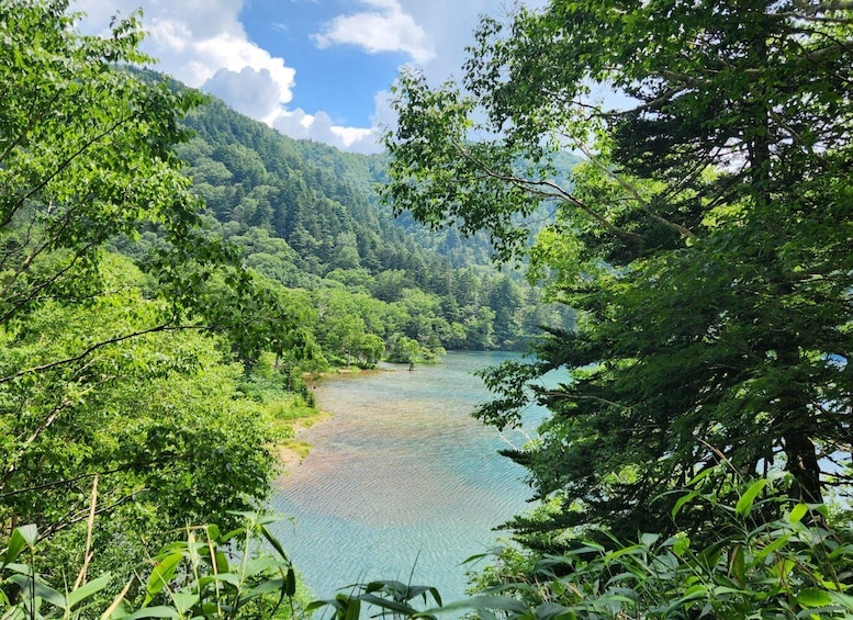 Picture 11 for Activity Nagano: UNESCO Nature, Autumn Colors & Local Highlights Tour 2
